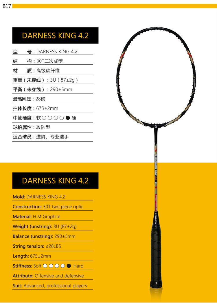 B17_Badminton Racket